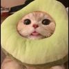 uwu_.lv