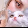 1hhnonh