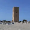 rochdijamal5