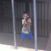 dominic_sellaro
