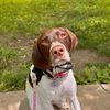 molliehthegsp