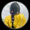 mssdipa720