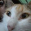 brina9194