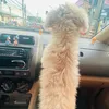 .singlemom20
