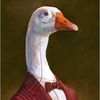 notducki2