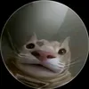 jojaufo