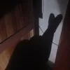 nguoiduathu_333