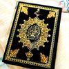 Laila Barhoumi105