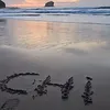 freadclockoff