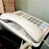 rudy_pakpahan21