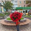 _lokhvytsia_dostavka_