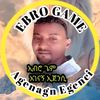 ebrogameagncy
