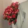 .rom16