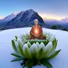 minhphuc12343