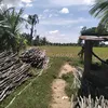phamthikhan