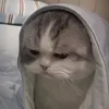 mai.mai.labaolau_987