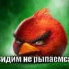 sidim_neripaemsia_cr
