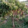 user8861844396671