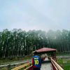 bibashpradhan11