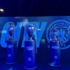rleemcfc96