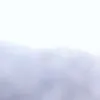 wukooooo