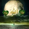 shaistahawlery1
