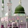 shaguftajaved582
