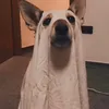 ryanisfrendly