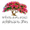 aasaa_1