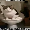 yogurtlega