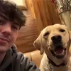 dan.pook