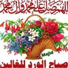 user1309773987081youcef