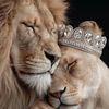 amiira.qall