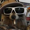 mushy_mushroomhey