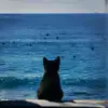 nvtapjartksr