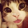 vyy.inaa