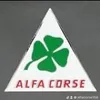 alfacorse156