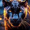 theking__n
