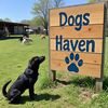 Dogs Haven Sanctuary 🐶