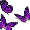 nyamburabutterfly