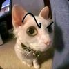 bungatunnurcholif