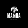 MAMBA_MOTIVATION_8