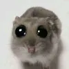.jaiqm