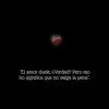 night_wolf10_