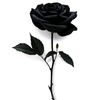 abdurrob7355