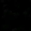 thuyvy_1210