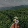 fairy_hazel69