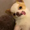 dy4knvnxmjg5