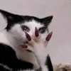 mytiien0