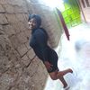 ndtar7